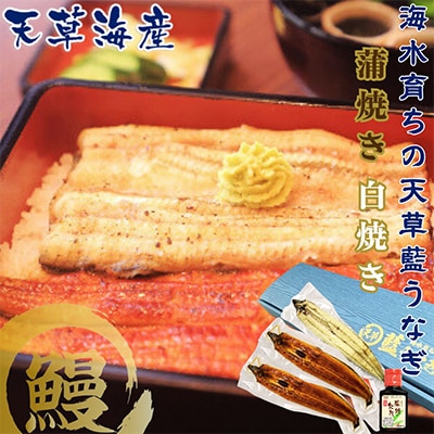 希少!数量限定!海水育ちの天草藍うなぎ　紅白3～4尾セット