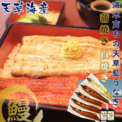 希少!数量限定!海水育ちの天草藍うなぎ　紅白5～7尾セット