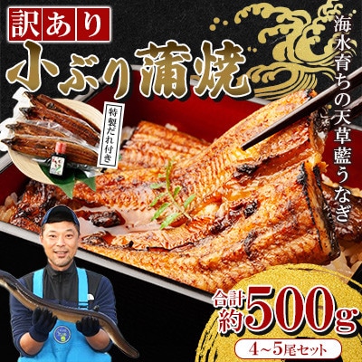 【訳あり】【プロが愛用】海水育ちの天草 藍うなぎ蒲焼 500g(4～5尾)