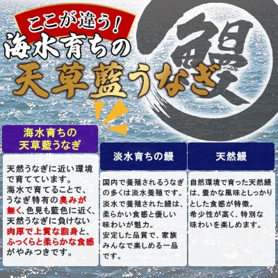 【訳あり】【プロが愛用】海水育ちの天草 藍うなぎ蒲焼 500g(4～5尾)