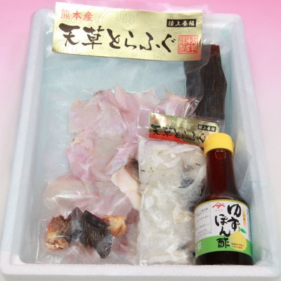 【毎月定期便】ふぐの王様!とらふぐ 国産最高級!天草とらふぐセット全2回