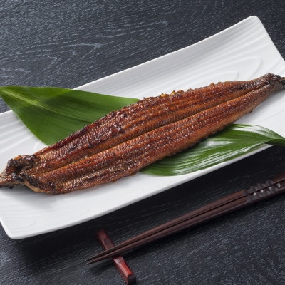 【毎月定期便】希少!数量限定!海水育ちの天草藍うなぎ 蒲焼き2～3尾セット全2回