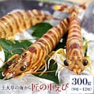 匠の車えび【活き締め急速冷凍】300g(9尾～12尾)