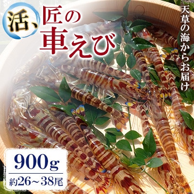 先行予約! 期間限定!【上天草ブランド認証品】 活、匠の車えび 900g約26～38尾 【丸山えび】