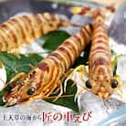 匠の小さな車えび　300g×2パック(1パックあたり約21尾前後)