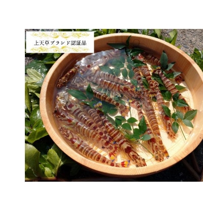 旨味たっぷり車海老のビスク　150g×4箱