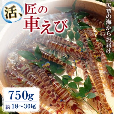 期間限定!【上天草ブランド認証品】活、匠の車えび 上天草産  750g(約18～30尾)