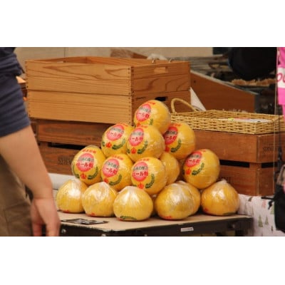 ベストアメニティ第54回天草パールラインマラソン大会参加券(2026.3.7開催・1名分)