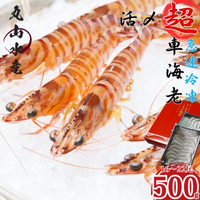 【上天草ブランド認証品】 活き〆超急速冷凍 車えび 500g(約16～22尾) 【丸山水産】