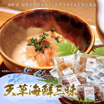 天草海鮮三昧