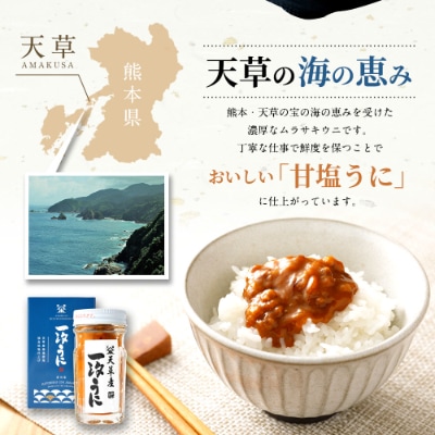 天草産ムラサキウニ(一汐低塩仕込み/60g)