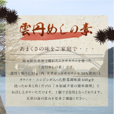 【天草釜飯】雲丹めしの素 2合用×3個