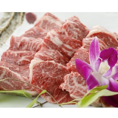 【GI認証】くまもとあか牛　カルビ焼肉用600g(上天草市)