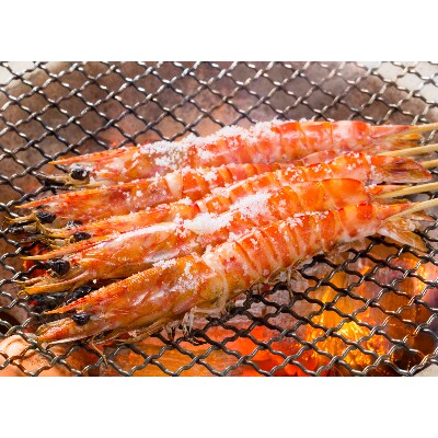 旬感氷結 熊本天草の車海老300g 12尾前後 冷凍 生食可 お礼品詳細 ふるさと納税なら さとふる 旬感氷結 熊本天草の車海老300g 12尾前後 冷凍 生食可 お礼品詳細 ふるさと納税なら さとふる