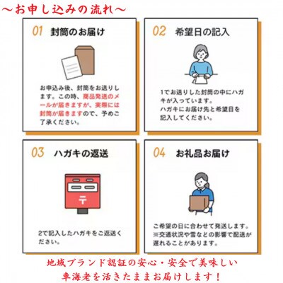 活きたままお届け! 熊本天草 活き 車海老　500g(14～18尾)【西岡水産】