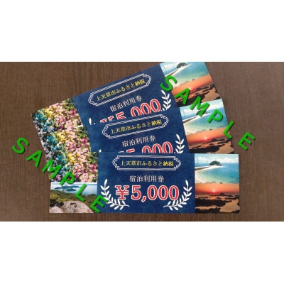 【熊本県上天草市】宿泊利用券10,000円分