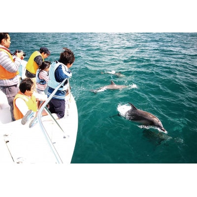 【熊本県上天草市】宿泊利用券10,000円分