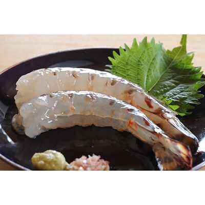 上天草産　活き車えび1kg(34尾前後)