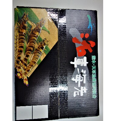 上天草産　活き車えび　600g(25尾前後)