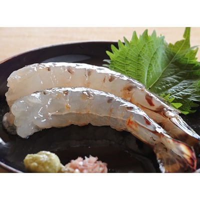 上天草産　活き車えび　600g(25尾前後)