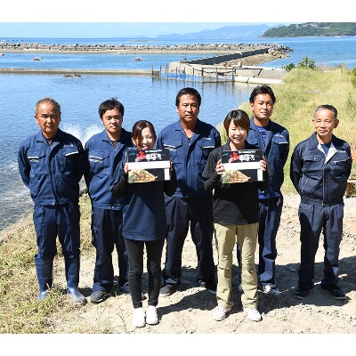 上天草産　活き車えび　600g(25尾前後)