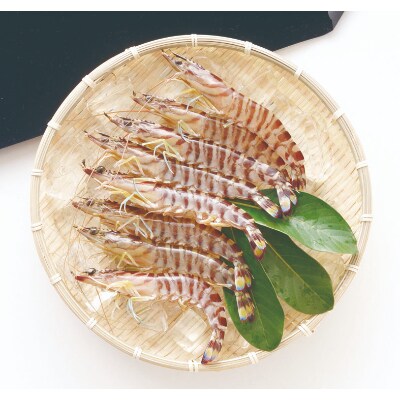 熊本県上天草産 急速冷凍活き〆車海老500g(20尾~26尾)×2