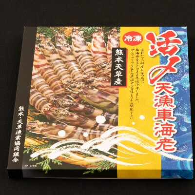 熊本県上天草産 急速冷凍活き〆車海老500g(20尾~26尾)×2