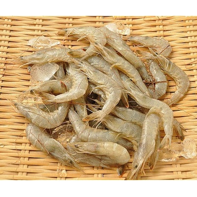熊本県上天草産　急速冷凍芝海老1kg