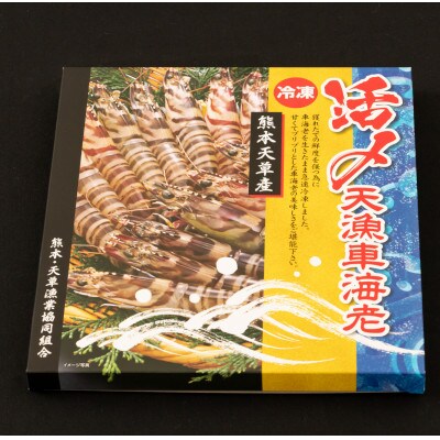 熊本県上天草産　急速冷凍活き〆車海老(15尾～20尾)500g×3