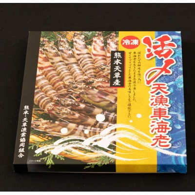 熊本県上天草産　急速冷凍活き〆車海老(15尾～20尾)500g