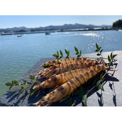 森さん家の冷凍車海老(加熱用) 220g×2