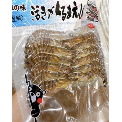 森さん家の冷凍車海老(活き〆急速冷凍・生食可能) 220g×1