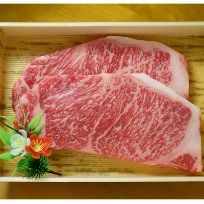 GI認証 くまもとあか牛サーロインステーキ 200g×2(上天草市)