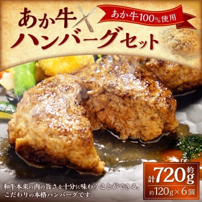 あか牛100%ハンバーグセット(あか牛ハンバーグ120g×6個)(上天草市)