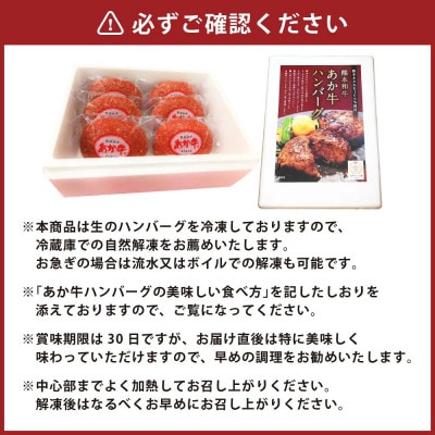 あか牛100%ハンバーグセット(あか牛ハンバーグ120g×6個)(上天草市)