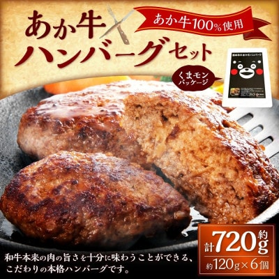 くまモンあか牛ハンバーグセット(あか牛ハンバーグ120g×6個)(上天草市)