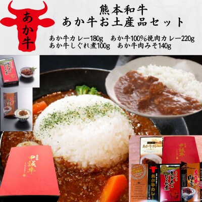 あか牛お土産品セット(カレー180g、挽肉カレー220g、しぐれ煮100g、肉みそ140g)上天草市