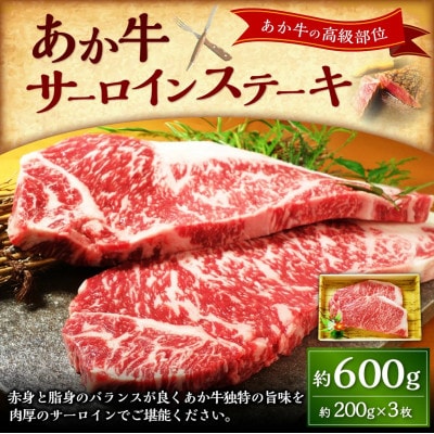 あか牛サーロインステーキ600g(200g×3)(上天草市)