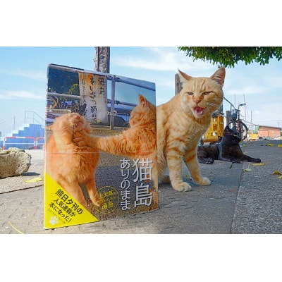 【数量限定】書籍「猫島ありのまま　上天草・湯島」