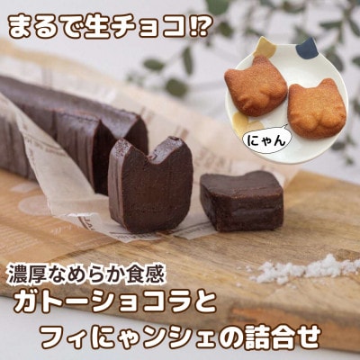 私のガトーショコラとフィにゃンシェ詰合せ