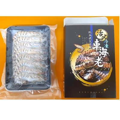 天草産 活〆冷凍 車海老　250g×1パック(6～7尾) 【フジオカ】