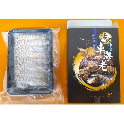 天草産 活〆 冷凍 車海老　250g×1パック(8～12尾) 【フジオカ】