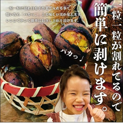 【毎月定期便】焼き栗専門店 美むらの焼き栗(500g)全3回
