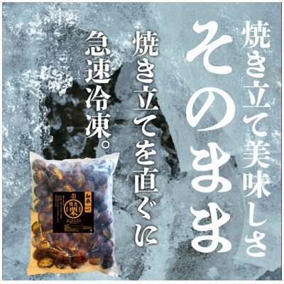 【毎月定期便】焼き栗専門店 美むらの焼き栗(500g)全6回