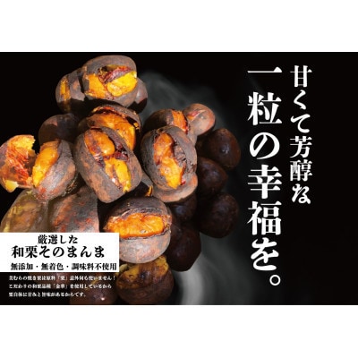 【毎月定期便】焼き栗専門店 美むらの焼き栗(500g)全12回