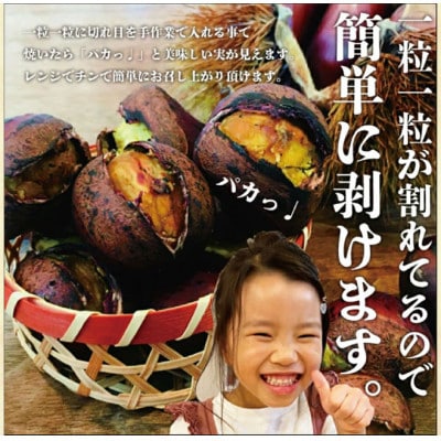 【毎月定期便】焼き栗専門店 美むらの焼き栗 1kg全6回