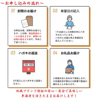 活き車海老 250g(10～16尾)【山本水産】