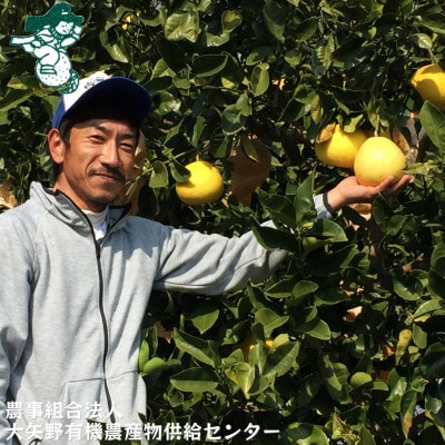 楽天市場】今季まもなく終了【旬の柑橘詰合せ 4〜6種 約2k or