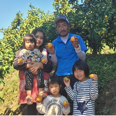 特別栽培みかん 約3kg