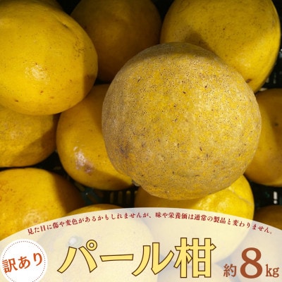 訳あり 特別栽培 パール柑(天草文旦)  約8kg